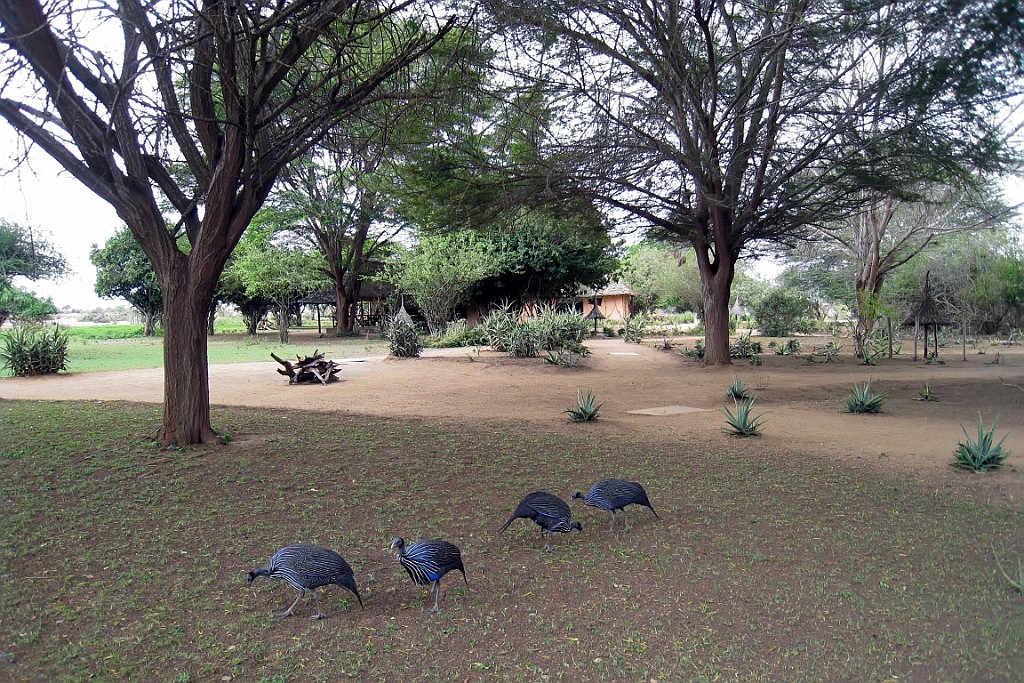 Kenia (398).jpg